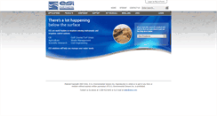 Desktop Screenshot of esica.com